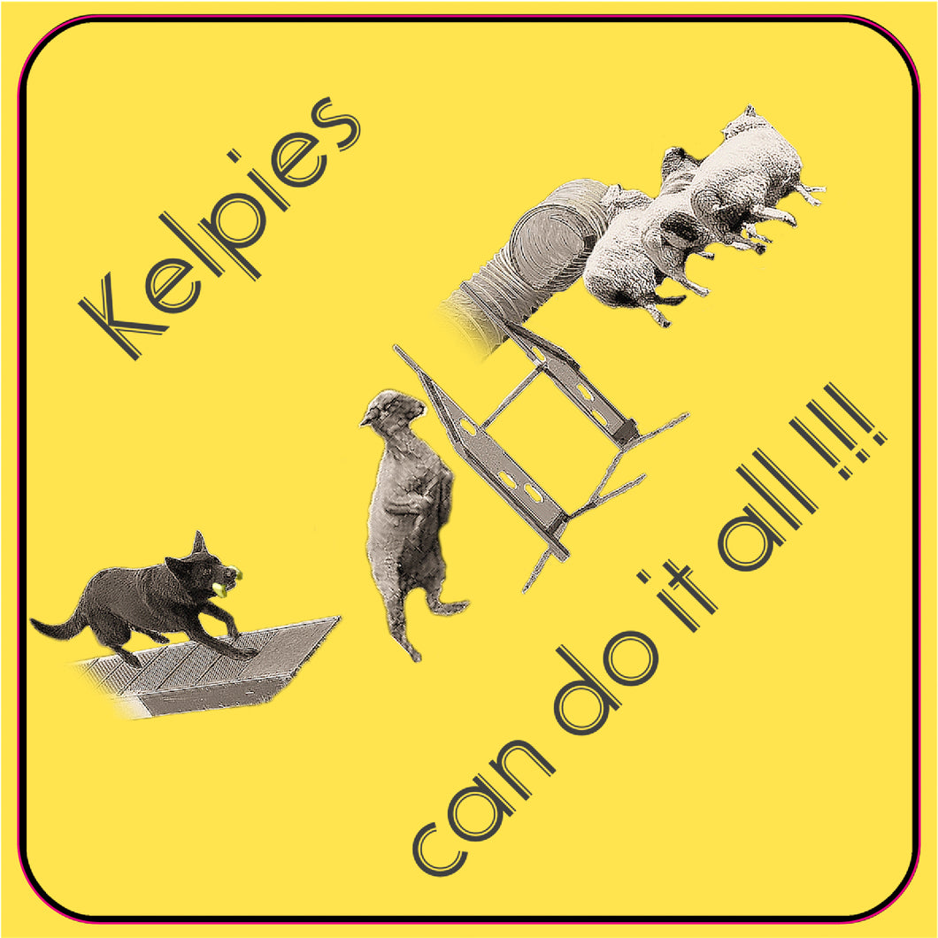 Dekal Kelpies can do it all